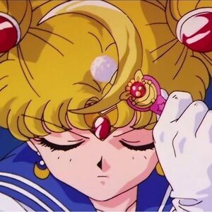 Meet your Posher, Audra